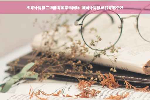 不考计算机二级能考国家电网吗-国网计算机证书考哪个好