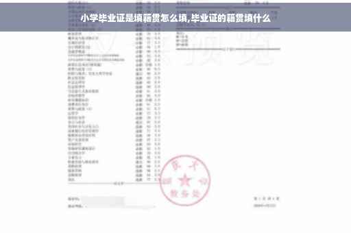 小学毕业证是填籍贯怎么填,毕业证的籍贯填什么