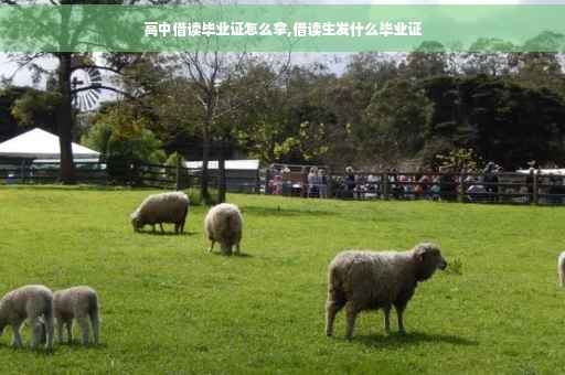 高中借读毕业证怎么拿,借读生发什么毕业证
