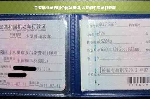 中专毕业证去哪个网站查询,大专和中专证书查询