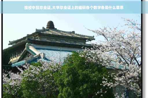 技校中技毕业证,大学毕业证上的编码各个数字各是什么意思