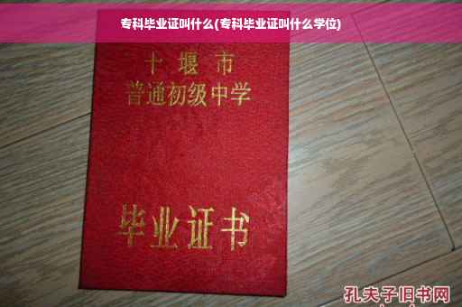 专科毕业证叫什么(专科毕业证叫什么学位)
