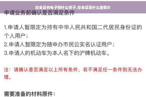 毕业证书电子档什么样子,毕业证是什么底照片