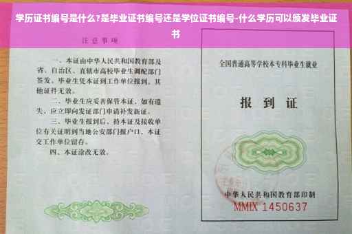 学历证书编号是什么?是毕业证书编号还是学位证书编号-什么学历可以颁发毕业证书