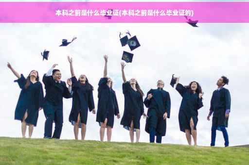 本科之前是什么毕业证(本科之前是什么毕业证的)
