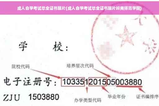 成人自学考试毕业证书图片(成人自学考试毕业证书图片岭南师范学院)