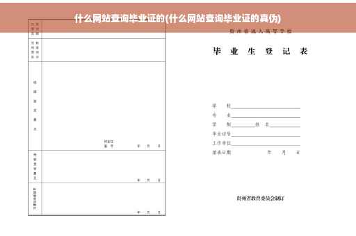 什么网站查询毕业证的(什么网站查询毕业证的真伪)