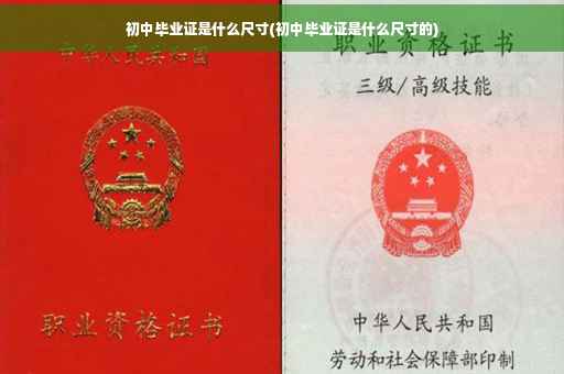初中毕业证是什么尺寸(初中毕业证是什么尺寸的)