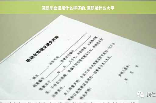 深职毕业证是什么样子的,深职是什么大学