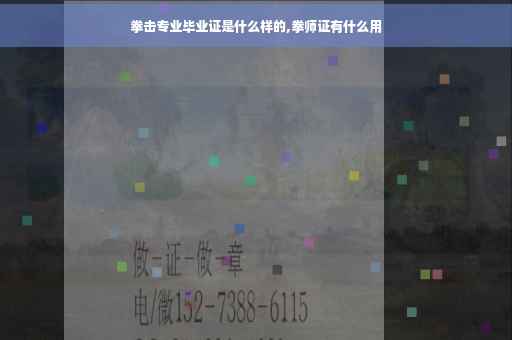 拳击专业毕业证是什么样的,拳师证有什么用