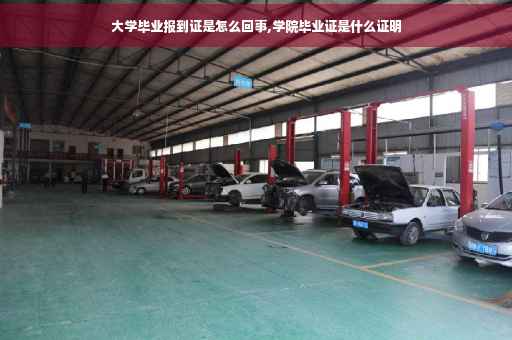 大学毕业报到证是怎么回事,学院毕业证是什么证明