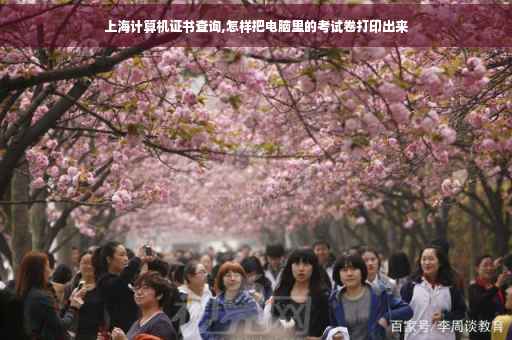 上海计算机证书查询,怎样把电脑里的考试卷打印出来