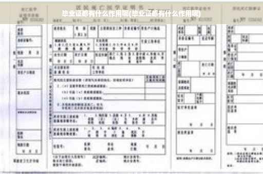 毕业证都有什么作用呢(毕业证都有什么作用呢)