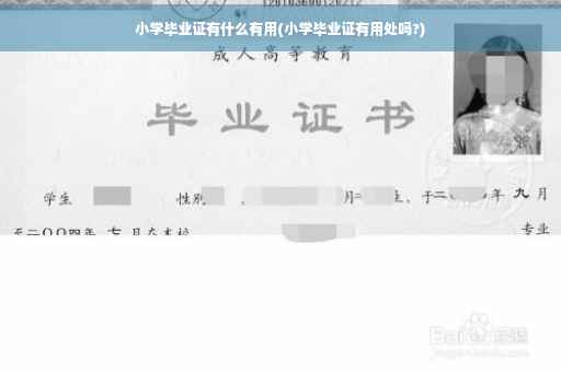 小学毕业证有什么有用(小学毕业证有用处吗?)