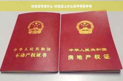 毕业证号是什么-毕业证上什么是学号和学号