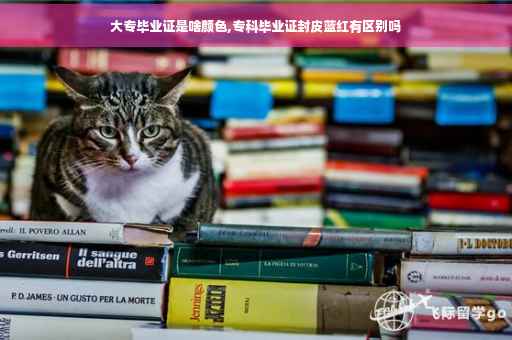 大专毕业证是啥颜色,专科毕业证封皮蓝红有区别吗