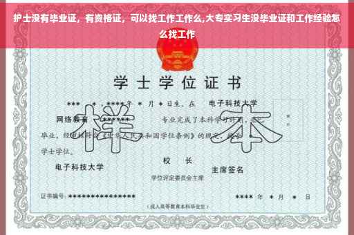 护士没有毕业证，有资格证，可以找工作工作么,大专实习生没毕业证和工作经验怎么找工作