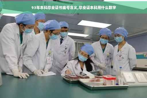 93年本科毕业证书编号含义,毕业证本科用什么数字