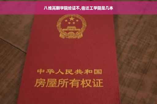 八维高翻学院给证不,宿迁工学院是几本