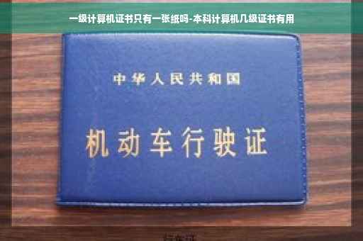 一级计算机证书只有一张纸吗-本科计算机几级证书有用