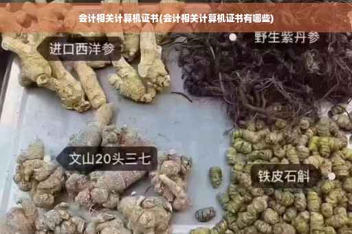 会计相关计算机证书(会计相关计算机证书有哪些)