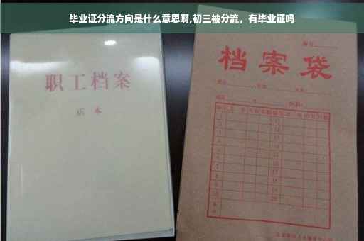 毕业证分流方向是什么意思啊,初三被分流，有毕业证吗