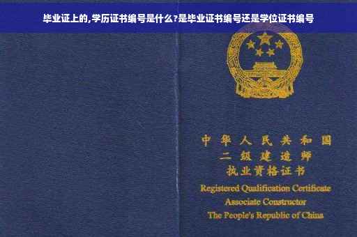 毕业证上的,学历证书编号是什么?是毕业证书编号还是学位证书编号
