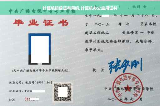 计算机初级证有用吗,计算机办公应用证书