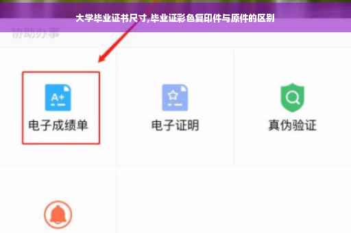 大学毕业证书尺寸,毕业证彩色复印件与原件的区别