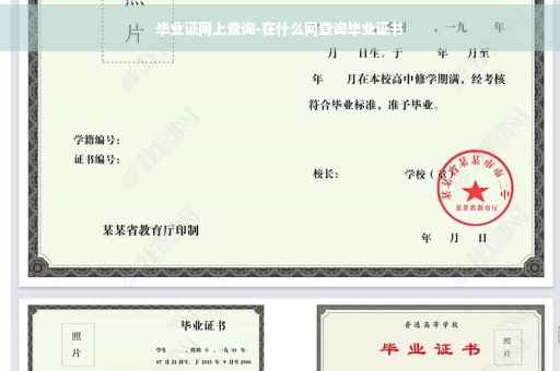 毕业证网上查询-在什么网查询毕业证书