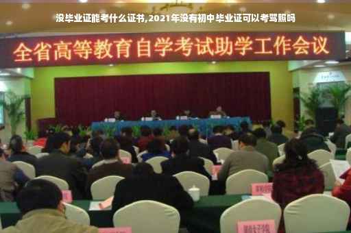 没毕业证能考什么证书,2021年没有初中毕业证可以考驾照吗