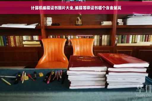 计算机编程证书图片大全,编程等级证书哪个含金量高