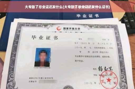 大专除了毕业证还发什么(大专除了毕业证还发什么证书)