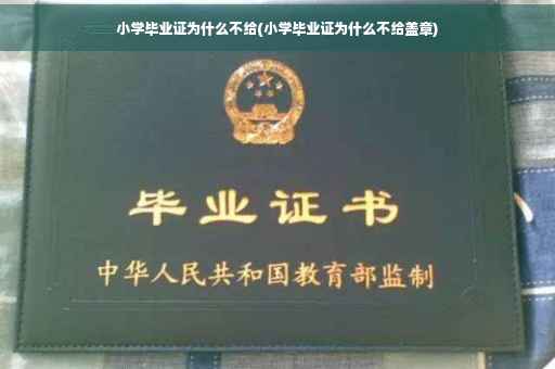 小学毕业证为什么不给(小学毕业证为什么不给盖章)