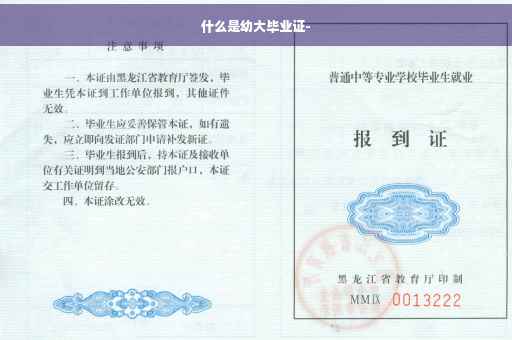 什么是幼大毕业证-