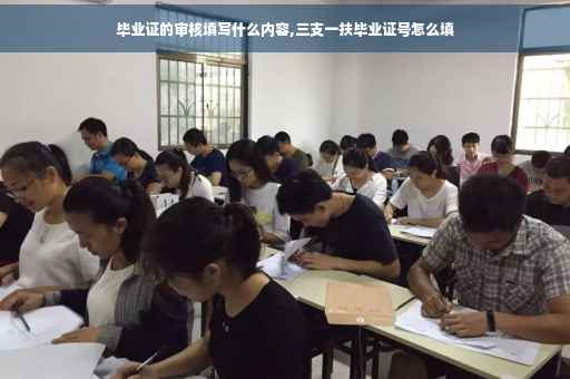 毕业证的审核填写什么内容,三支一扶毕业证号怎么填