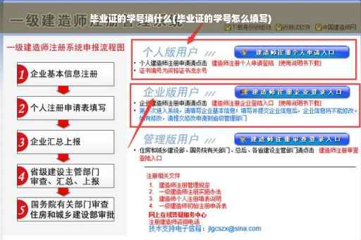 毕业证的学号填什么(毕业证的学号怎么填写)