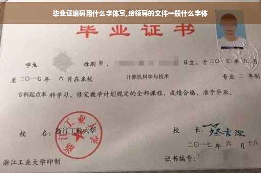 毕业证编码用什么字体写,给领导的文件一般什么字体