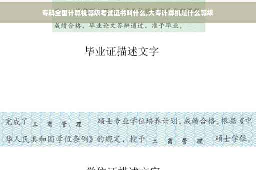 专科全国计算机等级考试证书叫什么,大专计算机是什么等级