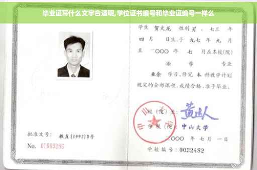 毕业证写什么文字合适呢,学位证书编号和毕业证编号一样么