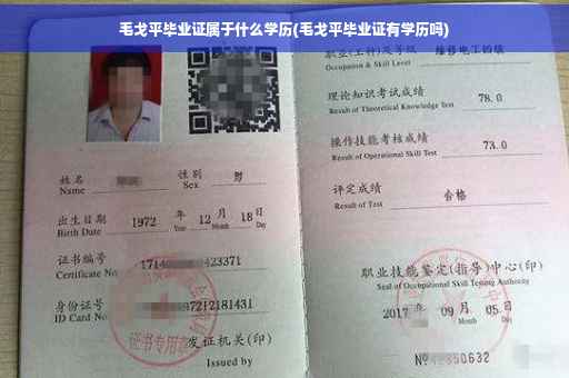 毛戈平毕业证属于什么学历(毛戈平毕业证有学历吗)