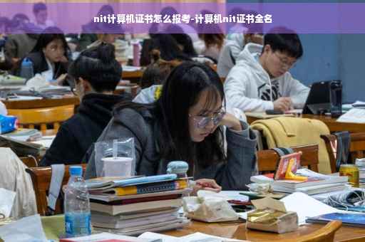 nit计算机证书怎么报考-计算机nit证书全名