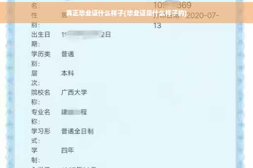真正毕业证什么样子(毕业证是什么样子的)