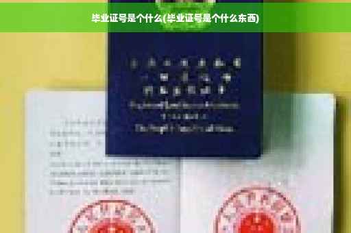 毕业证号是个什么(毕业证号是个什么东西)