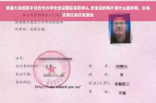 鲁美大连校区中日合作办学毕业证国际是否承认,毕业证的照片是什么底的啊，白色还是红色还是蓝色