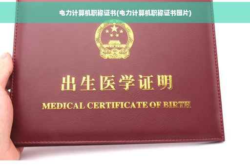 电力计算机职称证书(电力计算机职称证书图片)
