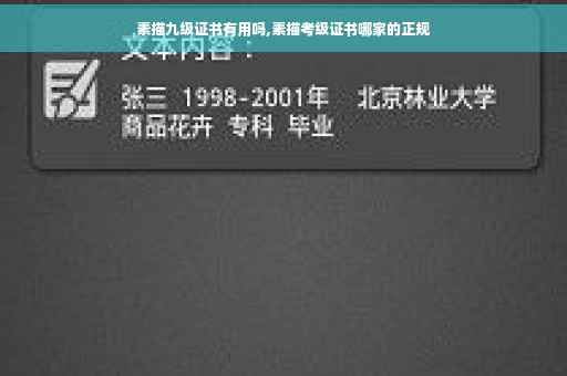 素描九级证书有用吗,素描考级证书哪家的正规