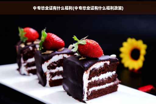 中专毕业证有什么福利(中专毕业证有什么福利政策)