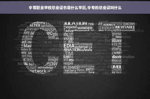 中等职业学校毕业证书是什么学历,中专的毕业证叫什么