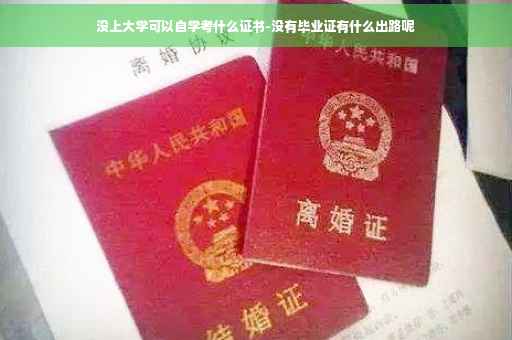 没上大学可以自学考什么证书-没有毕业证有什么出路呢